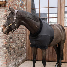 Produktbild von Kentucky Horsewear  Brustschutz