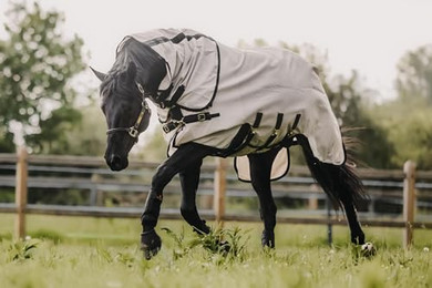 Produktbild von Kentucky Horsewear Fliegendecke mit Halsteil