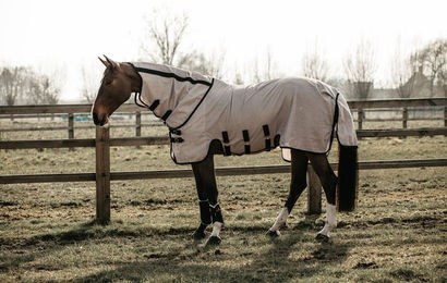 Kentucky Horsewear Fliegendecke mit Halsteil – Bild 1 von 6