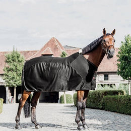 Produktbild von Kentucky Horsewear FliegenKombi Abschwitzdecke