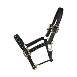 Produktbild von Kentucky Horsewear Halfter Pearls