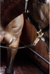 Produktbild von Kentucky Horsewear Horse Box Lead & Cross Anbindestrick