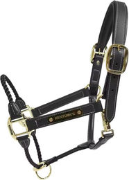 Produktbild von Kentucky Horsewear Leder Halfter rope