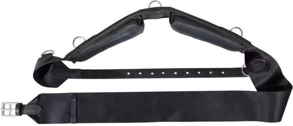 Produktbild von Kentucky Horsewear Nylon Führanlagengurt