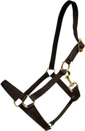 Produktbild von Kentucky Horsewear Nylon Halfter
