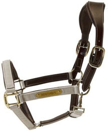 Kentucky Horsewear Nylon Halfter anatomisch – Bild 1 von 6