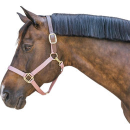 Kentucky Horsewear Nylon Halfter Breakaway – Bild 1 von 3