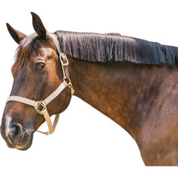 Kentucky Horsewear Nylon Halfter Breakaway – Bild 1 von 4