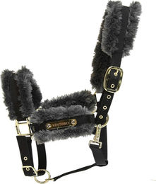 Produktbild von Kentucky Horsewear Nylon Halfter Schaffell grau - Pony