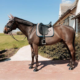 Produktbild von Kentucky Horsewear PieddePoule Schabracke