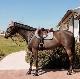 Produktbild von Kentucky Horsewear PieddePoule Schabracke