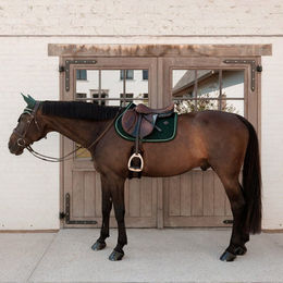 Produktbild von Kentucky Horsewear Samt Velvet Schabracke