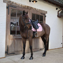 Kentucky Horsewear Schabracke Sammy Kollektion – Bild 1 von 3