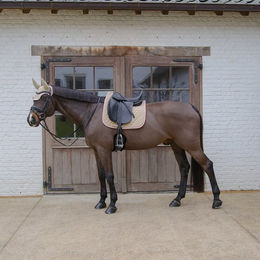 Produktbild von Kentucky Horsewear Schabracke Softshell Onion Quilt