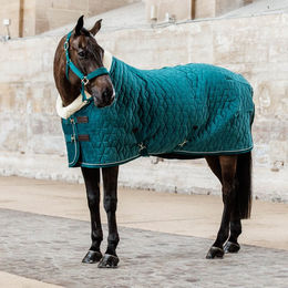 Kentucky Horsewear Show Rug Velvet Turnierdecke – Bild 1 von 6