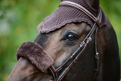 Produktbild von Kentucky Horsewear Soundless Fliegenohren