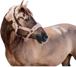 Kentucky Horsewear Teddy Fleece Halfter – Bild 1 von 6