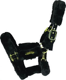 Kentucky Horsewear Transporthalfter mit Wolle/Fell Halsstück Schwarz – Bild 1 von 5