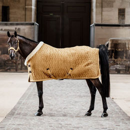 Kentucky Horsewear Turnierdecke Samt 160g Senfgelb – Bild 1 von 6