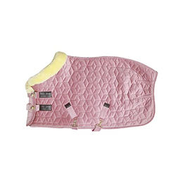 Kentucky Horsewear Turnierdecke Samt 160g Tiny - Alt Rosa – Bild 1 von 6