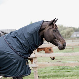 Produktbild von Kentucky Horsewear wasserdichte Combo Fliegendecke Classic