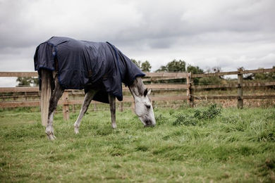 Kentucky Horsewear Weidedecke All Weather Hurricane – Bild 1 von 3