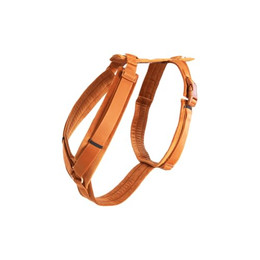 Produktbild von Kentucky Hundegeschirr aktiv velvet orange L 38-58cm