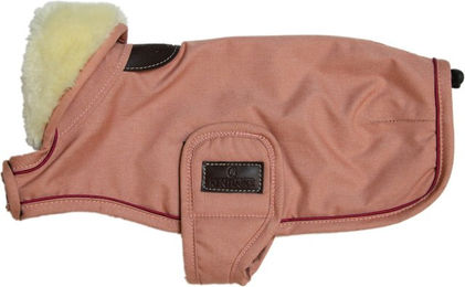 Kentucky Hundemantel wasserdicht Koralle 40cm – Bild 1 von 7