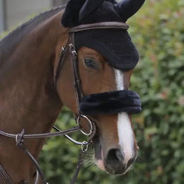 Kentucky Lammfell Nasenriemenschoner Schwarz – Bild 1 von 4