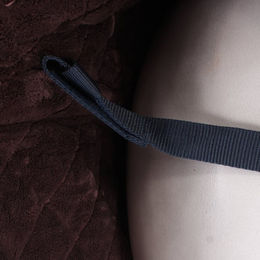 Kentucky Nierendecke Ausreitdecke 160g - 160 g – Bild 1 von 6