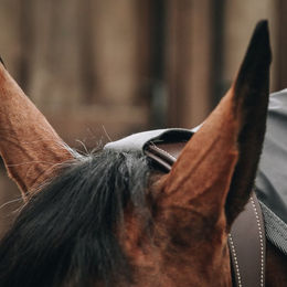 Kentucky Pferde Regenmantel Grau Größe M – Bild 1 von 9