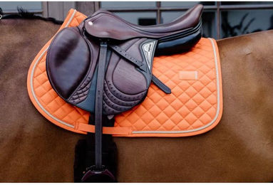 Kentucky Schabracke Diamond Rope Springen – Bild 1 von 4