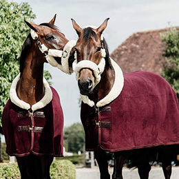 Kentucky Show Schweißdecke Rot 125/175 – Bild 1 von 8