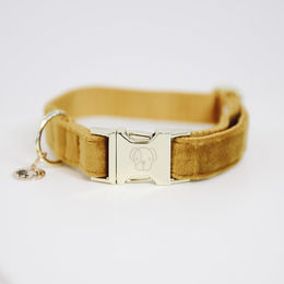 Kentucky Velvet Hundehalsband Senf XS – Bild 1 von 9