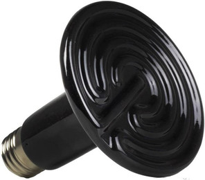 Produktbild von Keramische Lampe Reptiles Planet Terra