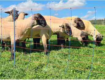 Produktbild von Kerbl AKO Premium Ersatzpfahl Doppelspitze 90 cm - 90 cm