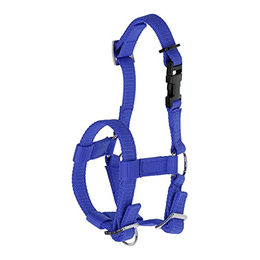 Kerbl Alpaka Halfter blau verstellbar mit Klippverschluss – Bild 1 von 2