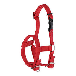 Kerbl Alpaka Halfter verstellbar mit Klippverschluss – Bild 1 von 3