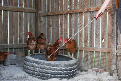 Kerbl Fanghaken für Geflügel – Bild 1 von 3