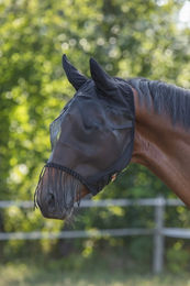 Produktbild von Kerbl Fliegenschutzmaske VB mit Ohrenschutz und Nüsternkordel
