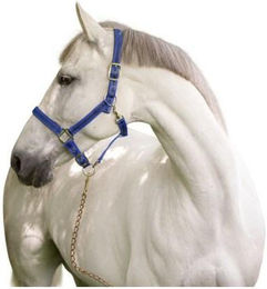 Produktbild von Kerbl Halfter Mustang 2-fach verstellbar Rot/Schwarz