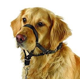 Produktbild von Kerbl Hunde-Erziehungsgeschirr Maxi Coach 54 cm