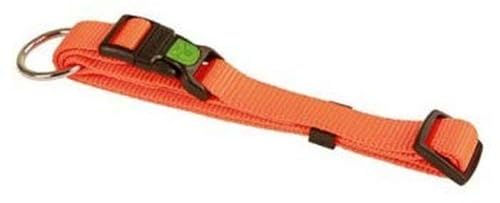 Kerbl Hunde-Halsband Miami 20-35 cm orange – Bild 1 von 4