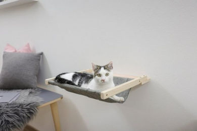 Produktbild von Kerbl Katzen-Kletterwand Wandhängematte Tofana 45 cm x 40 cm 81544