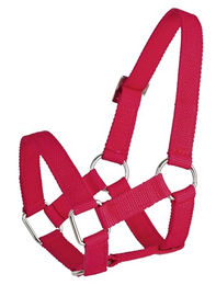 Kerbl Kopfhalfter für Schafe, rot PP, 20mm – Bild 1 von 3