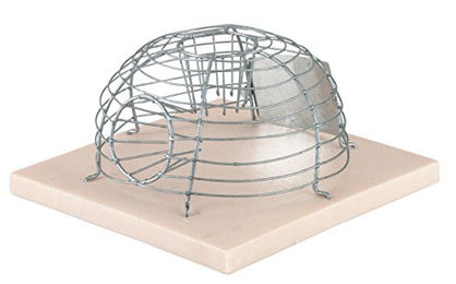 Kerbl Korb Mausefalle mit 2 Eingängen – Bild 1 von 2