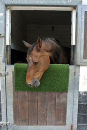 Kerbl Kratzmatte Kratz Pad 40 cm – Bild 1 von 8