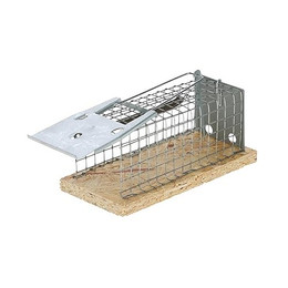 Produktbild von Kerbl Mausefalle Drahtkäfig mit 1 Eingang