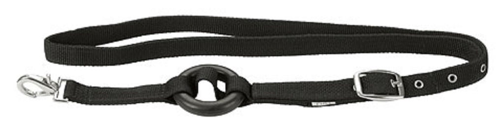 Produktbild von Kerbl Metallstiel mit D-Griff für Pferdedunggabel