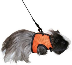 Produktbild von Kerbl Nagergeschirr Sport mit flexibler Leine